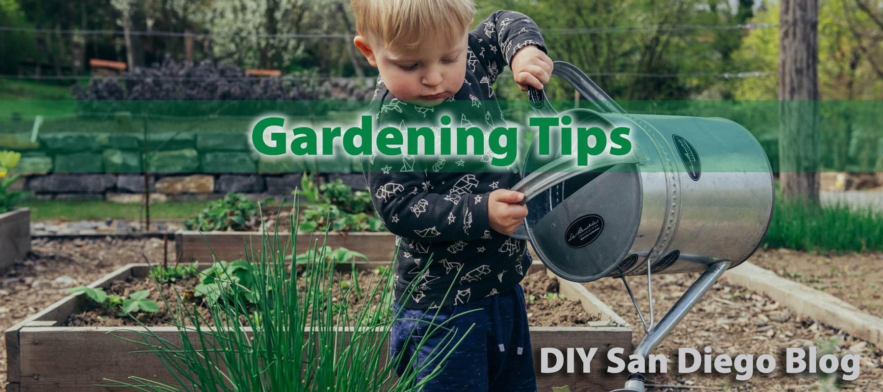 gardening, landscaping